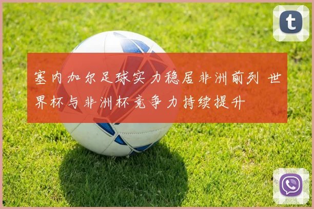 塞内加尔足球实力稳居非洲前列 世界杯与非洲杯竞争力持续提升