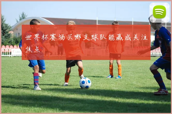世界杯赛场买哪支球队能赢成关注焦点