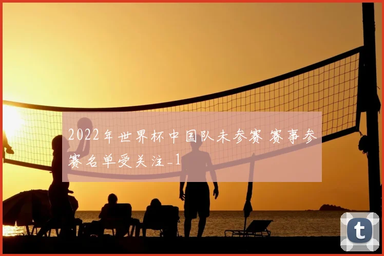 2022年世界杯中国队未参赛 赛事参赛名单受关注_1