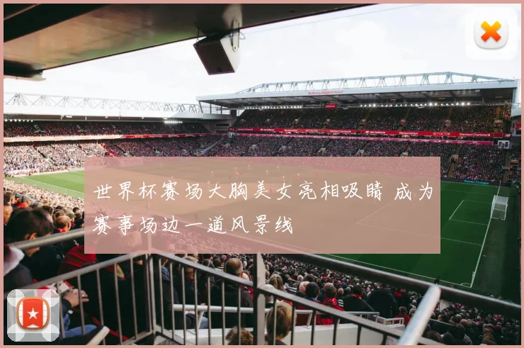 世界杯赛场大胸美女亮相吸睛 成为赛事场边一道风景线