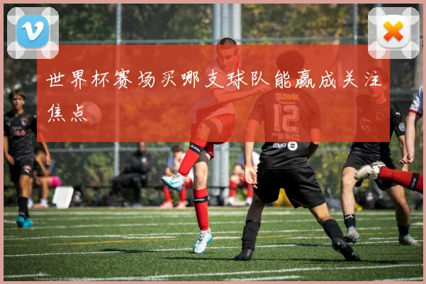 世界杯赛场买哪支球队能赢成关注焦点