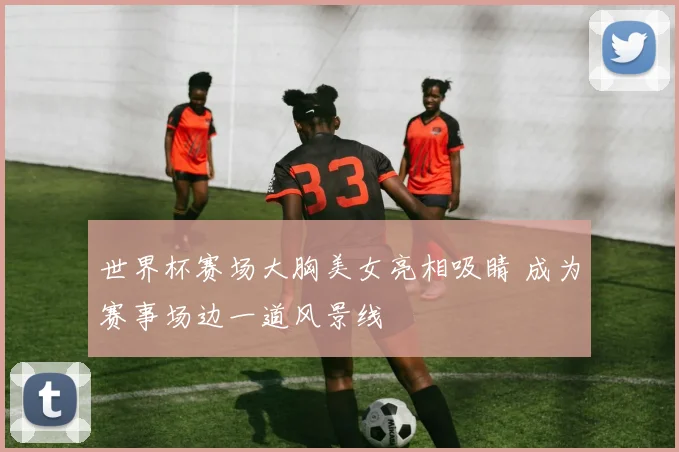 世界杯赛场大胸美女亮相吸睛 成为赛事场边一道风景线